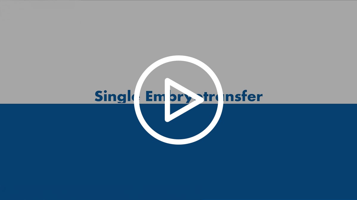 Thumbnail zum Video über den Single Embryotransfer